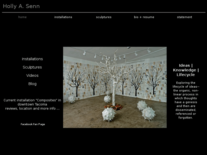 www.ryksenn.com