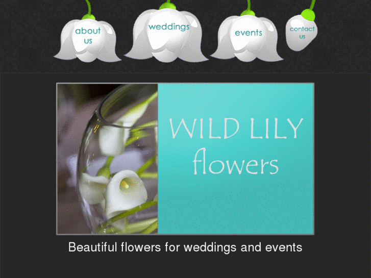 www.wildlilyflowers.com