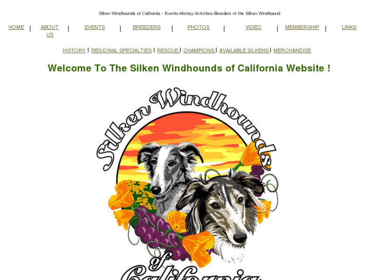 www.casilkenwindhound.com