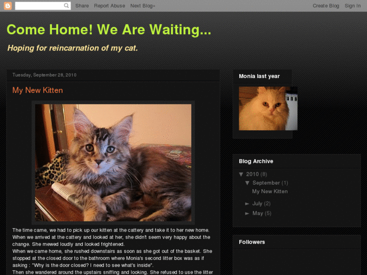 www.catreincarnation.com