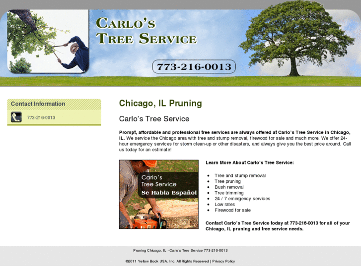 www.chicagoiltreeservicefirewood.com