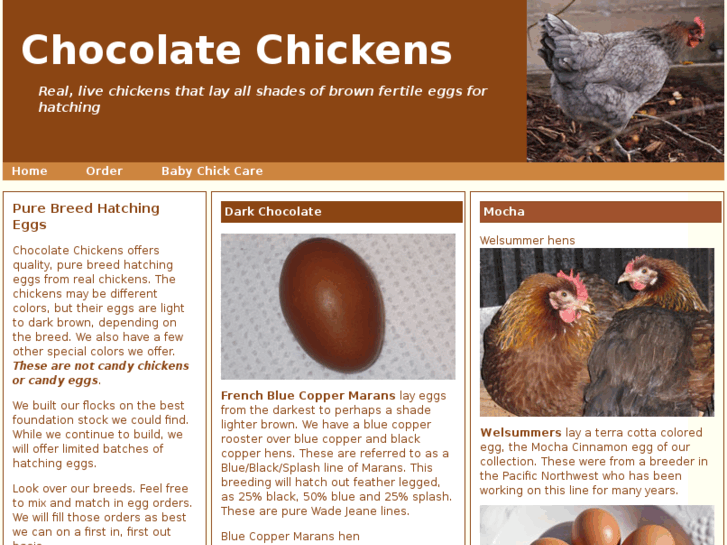 www.chocolatechickens.com