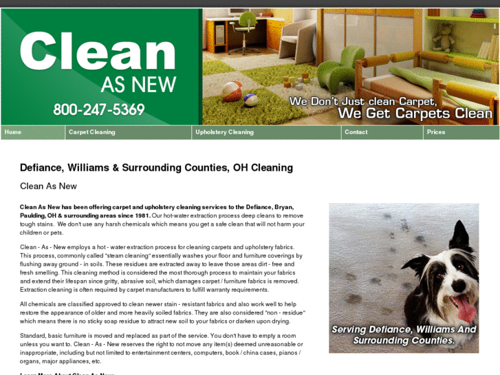 www.cleanasnewcarpetcleaning.com