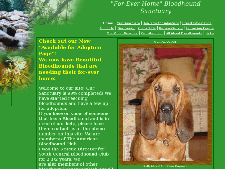 www.for-everhomebloodhoundsanctuary.com