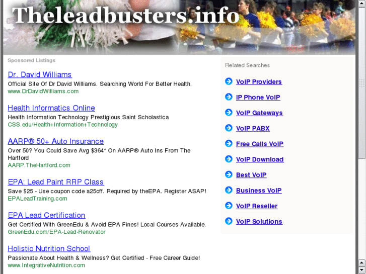 www.handydandyplan.com