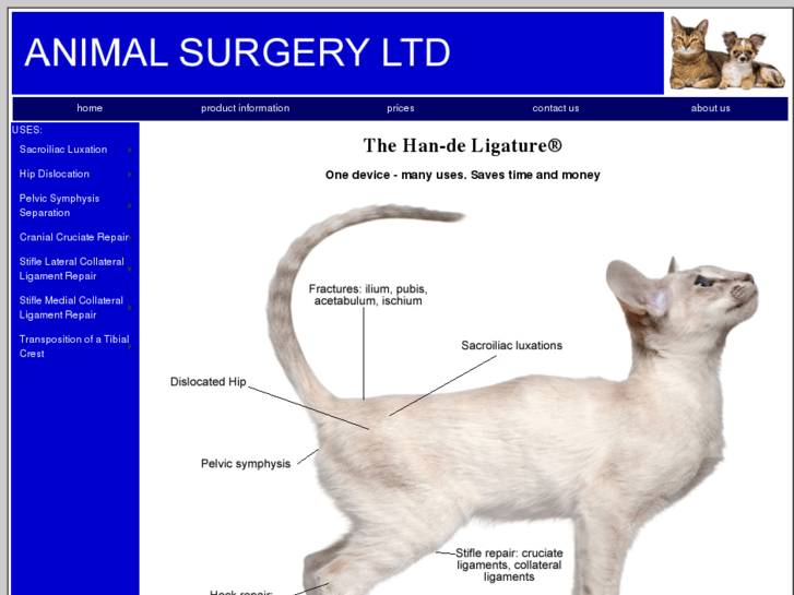 www.animalsurgery.biz