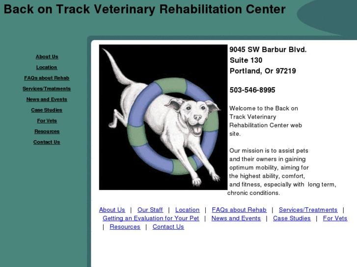 www.backontrackvetrehab.com