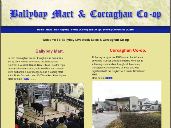 www.ballybaymart.com