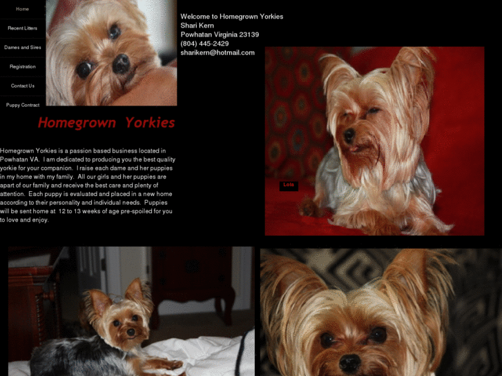 www.homegrownyorkies.com