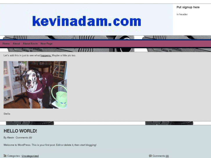 www.kevinadam.com