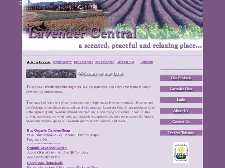 www.lavendercentral.com