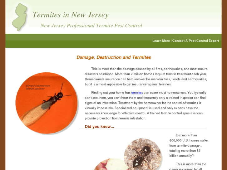 www.new-jersey-termites.com