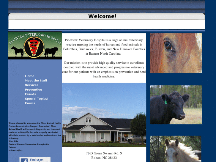 www.pineviewvet.com