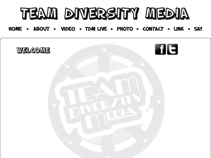 www.teamdiversitymedia.com