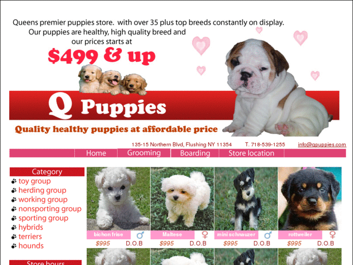 www.theqpuppies.com