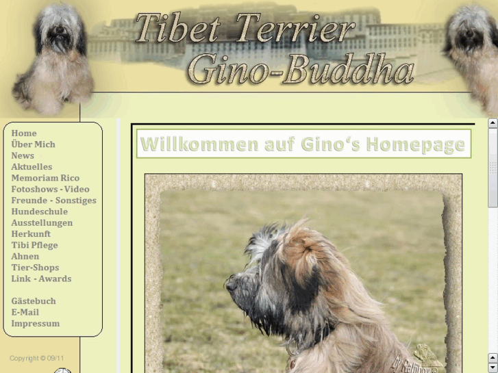 www.tibetterrier-schwaben.de