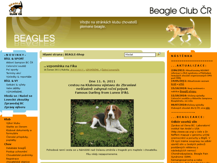 www.beagleclub.cz