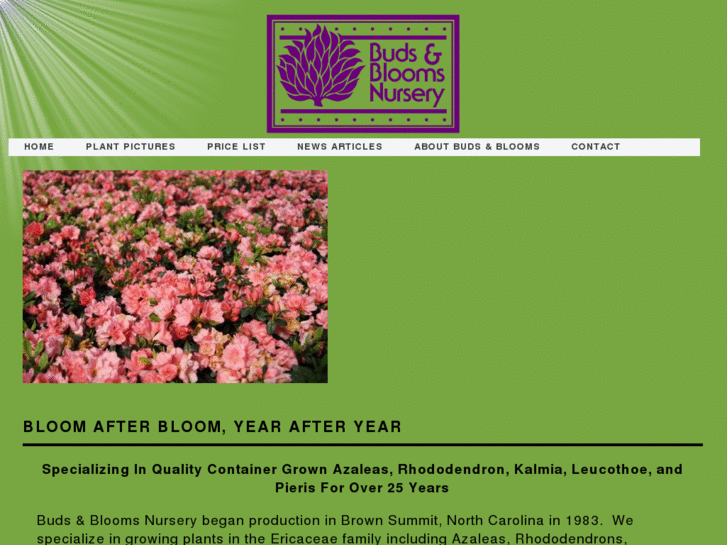 www.bloomafterbloom.com