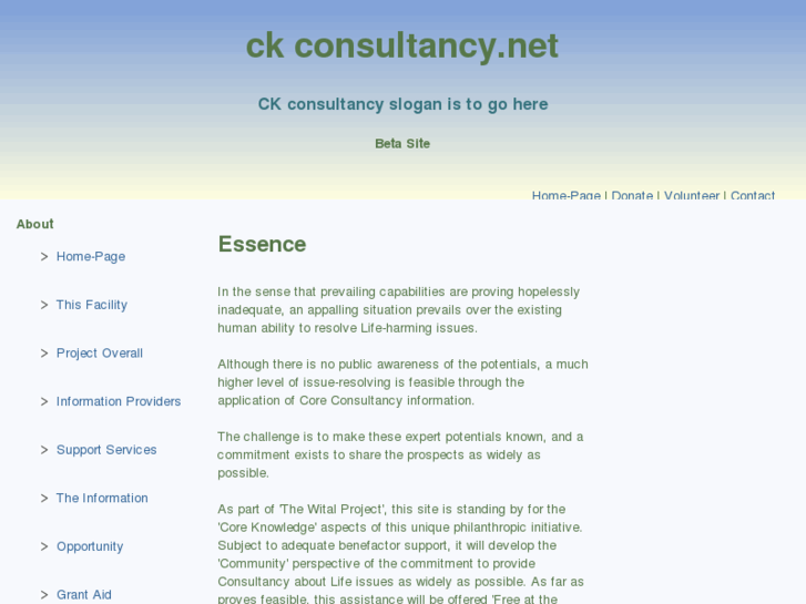 www.ckconsultancy.net