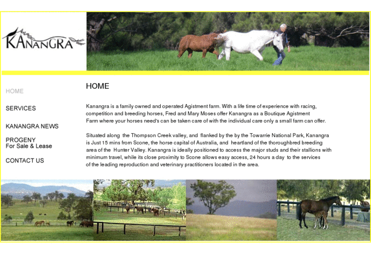 www.kanangraequines.com