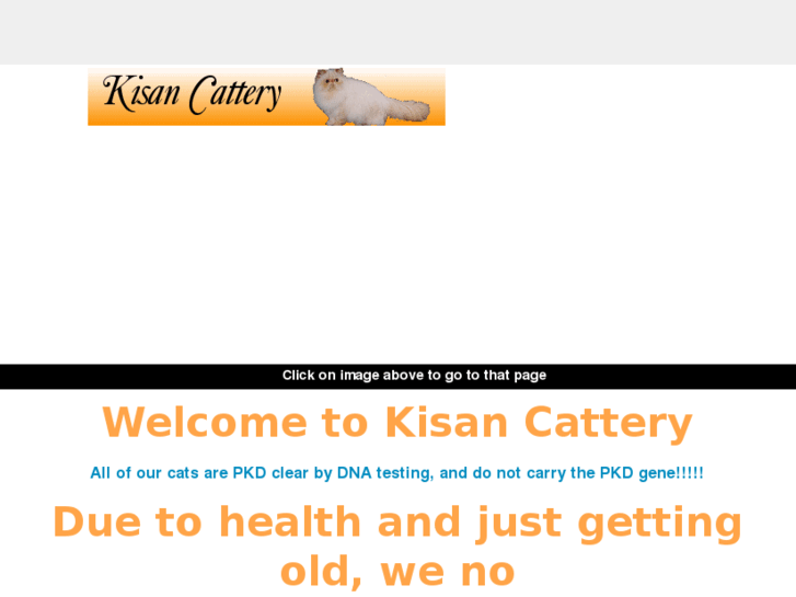 www.kisancats.com