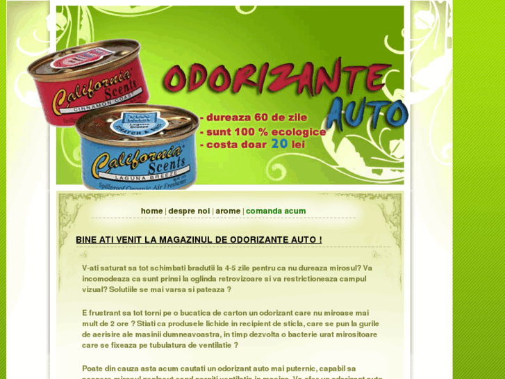 www.odorizante-auto.com