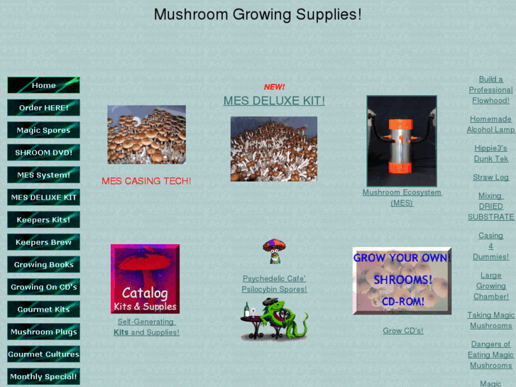www.psilocybe.com