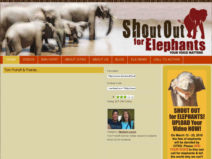 www.shoutoutforelephants.com