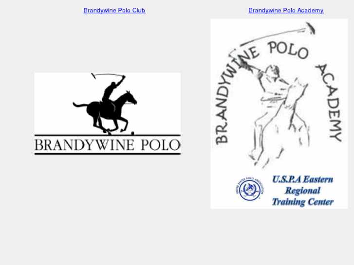 www.bpapolo.com