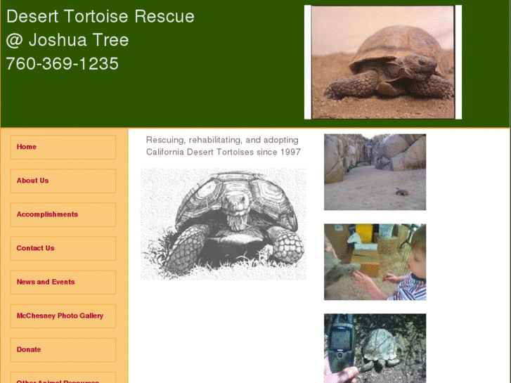 www.deserttortoiserescue.org