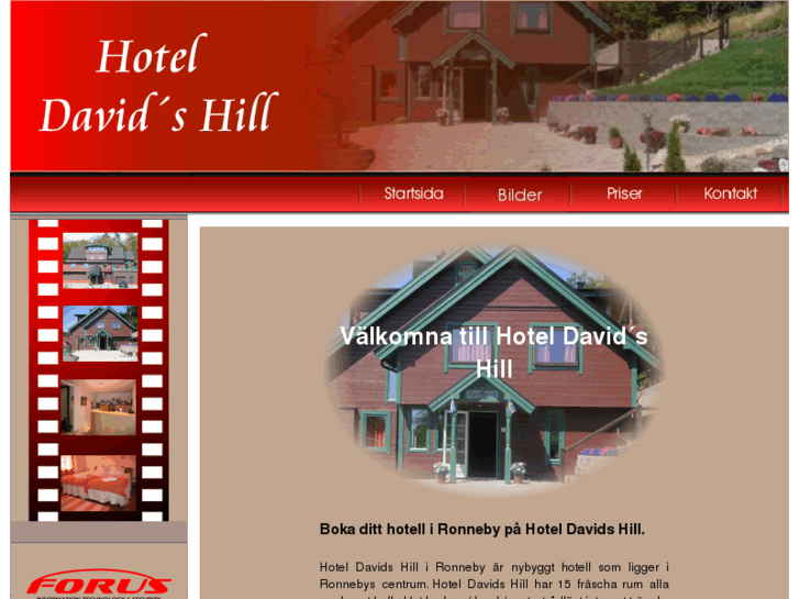 www.hotel-davidshill.com