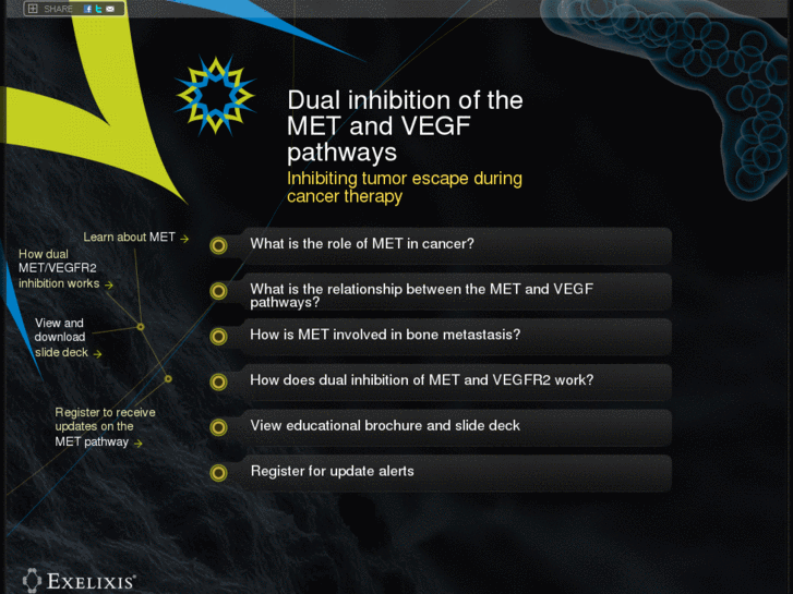 www.metinhibition.com