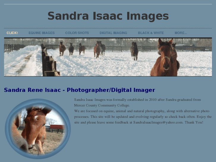 www.sandraisaacimages.com