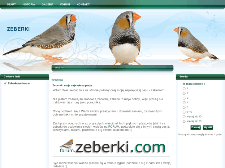 www.zeberki.com