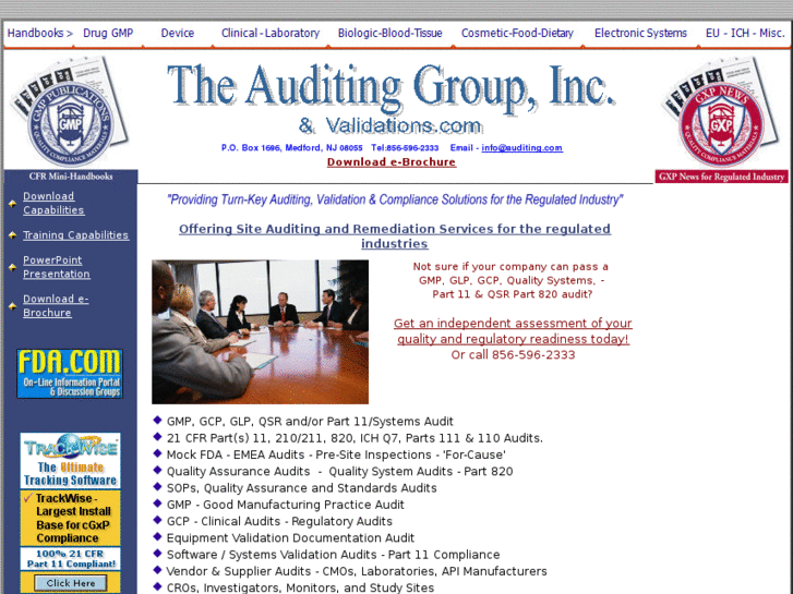 www.auditing.com