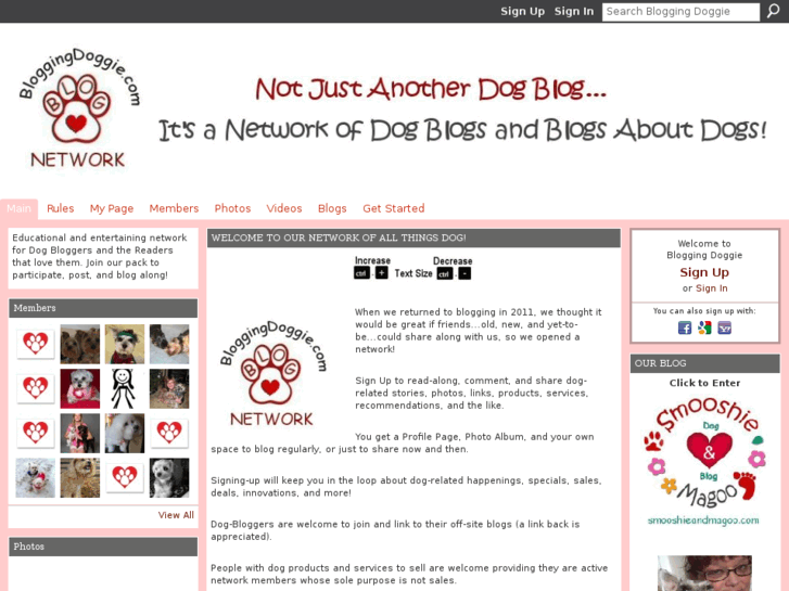 www.bloggingdoggie.com