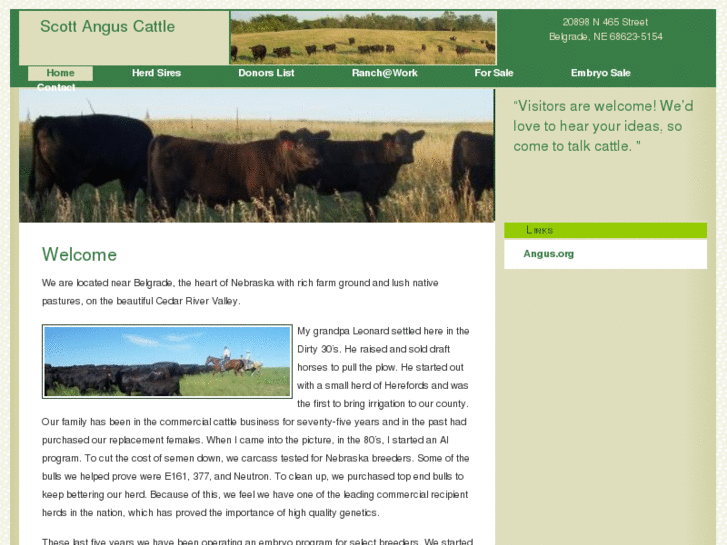 www.scottanguscattle.com