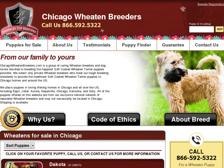 www.chicagowheatenbreeders.com