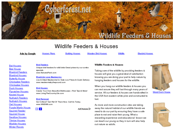 www.cyberforest.net