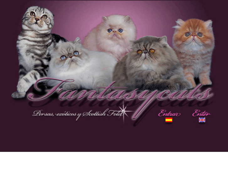 www.fantasycats.com