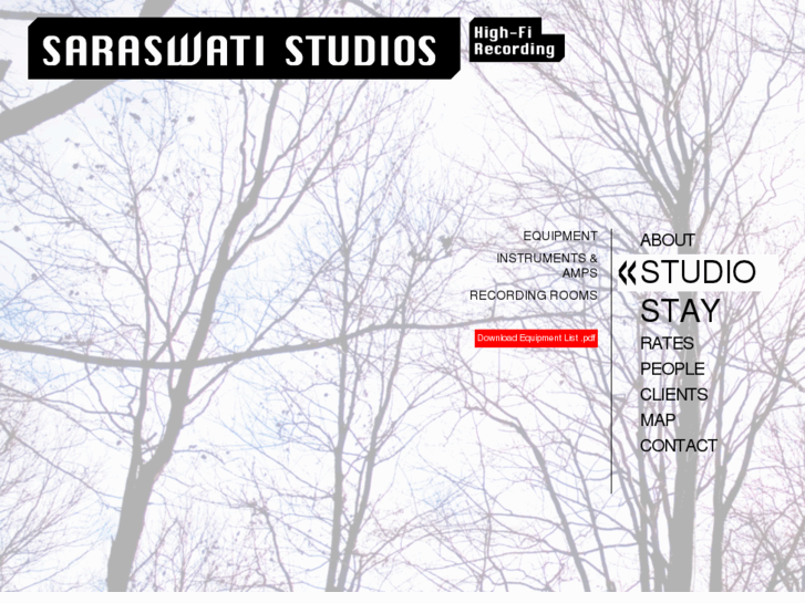 www.saraswatistudios.com