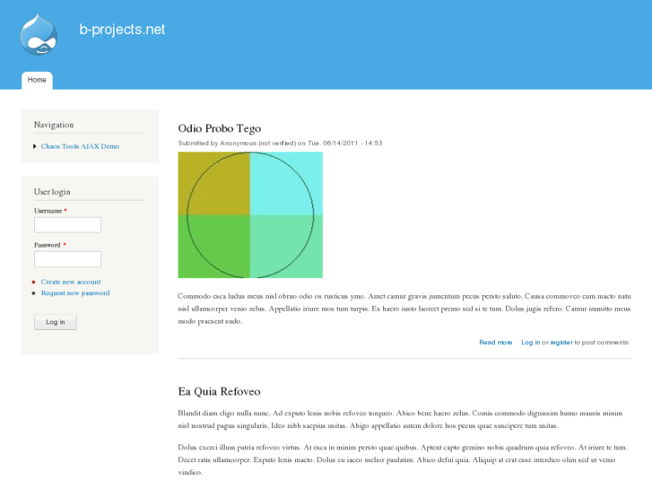 www.b-projects.net