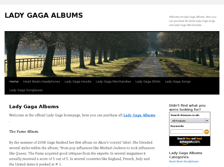 www.ladygagaalbums.com