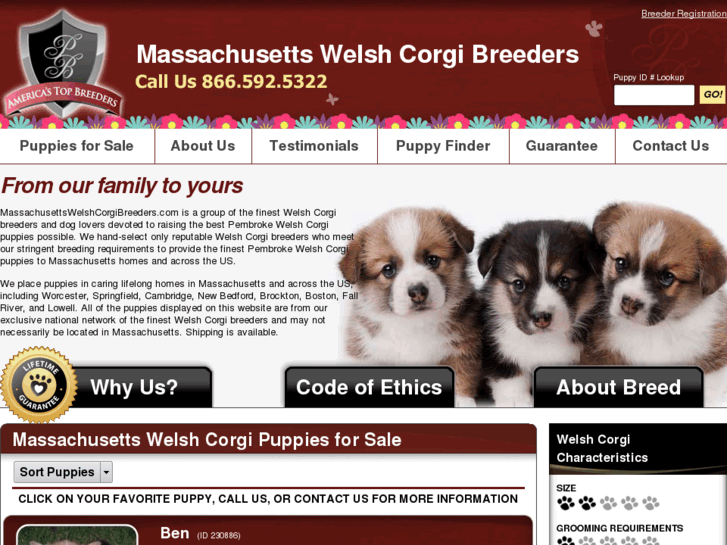 www.massachusettswelshcorgibreeders.com