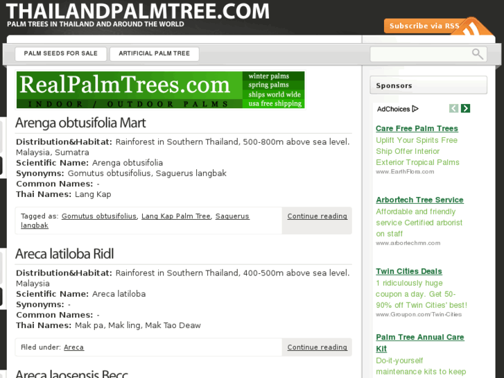 www.thailandpalmtree.com