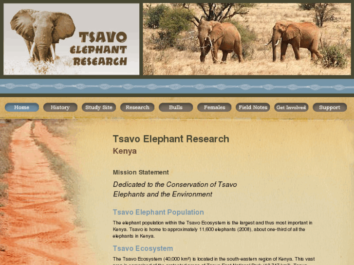 www.tsavoelephants.org