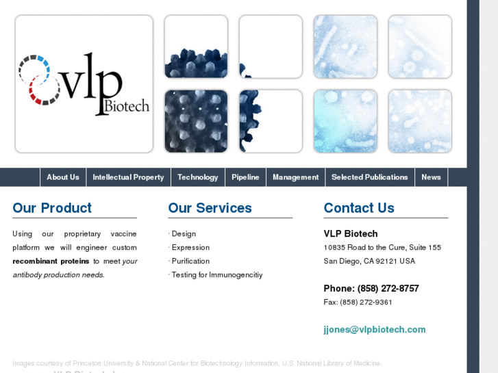 www.vlpbiotech.com