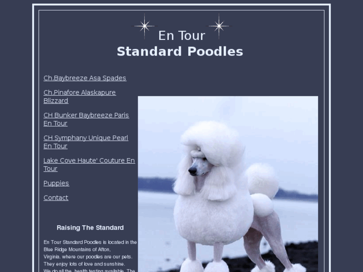 www.entourpoodle.com