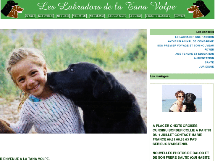 www.labradorsdelatanavolpe.com