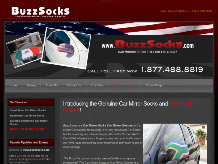 www.buzzsocks.com